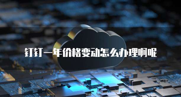 钉钉一年价格变动怎么办理啊呢