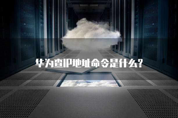 钉钉企业支付操作手册的填写信息指南