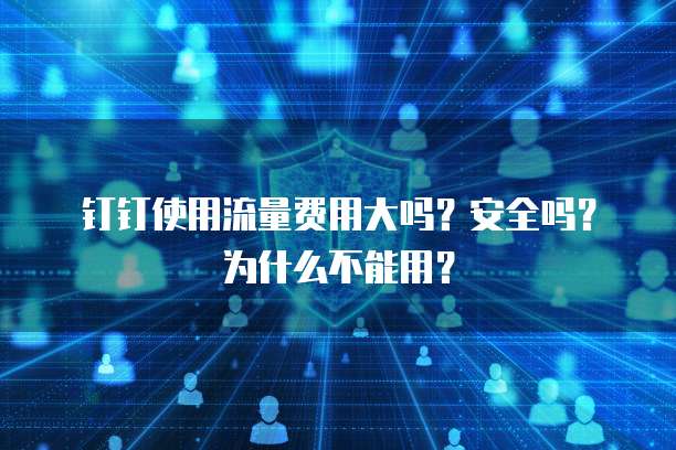 钉钉使用流量费用大吗？安全吗？为什么不能用？