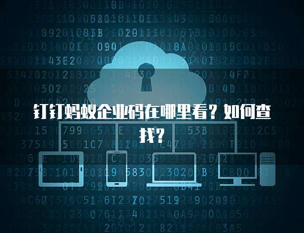 钉钉蚂蚁企业码在哪里看?如何查找?