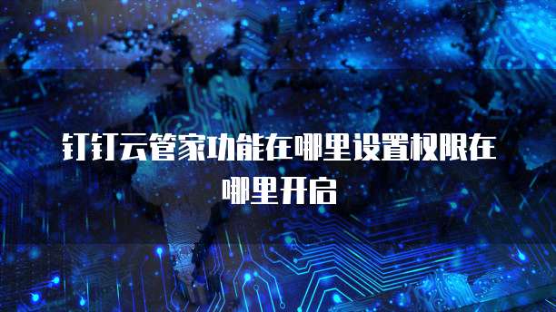 钉钉云管家功能在哪里设置权限在哪里开启