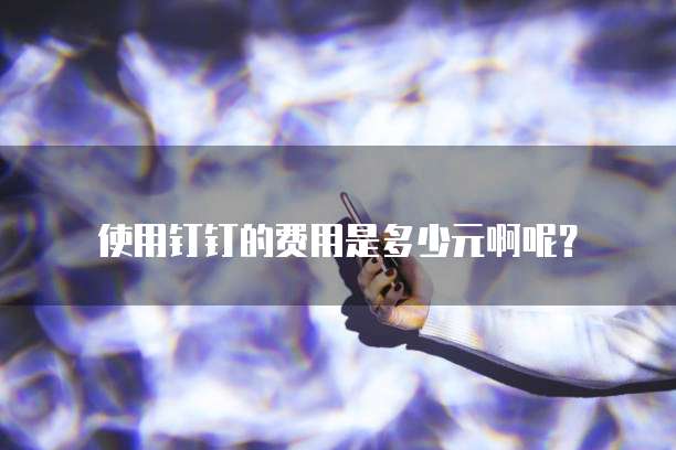 使用钉钉的费用是多少元啊呢？