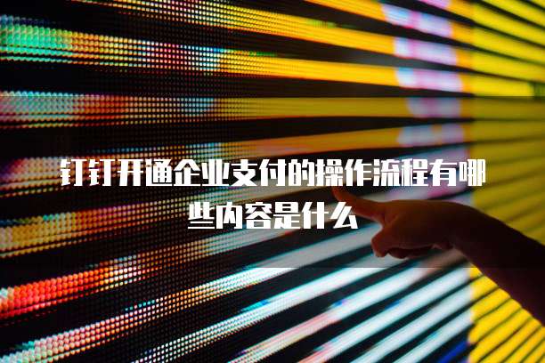 钉钉开通企业支付的操作流程有哪些内容是什么