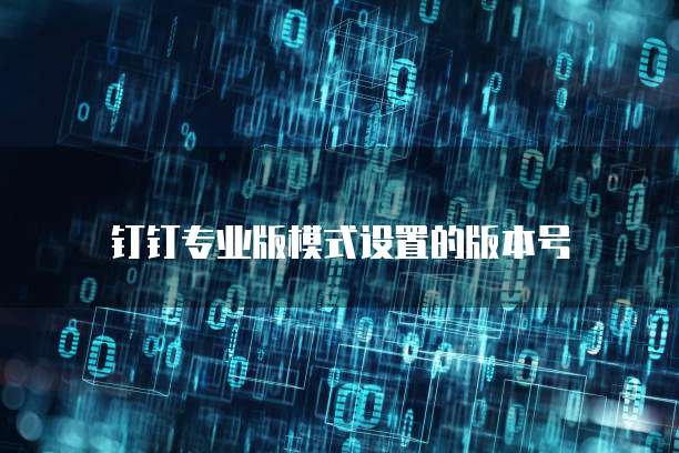 钉钉专业版模式设置的版本号