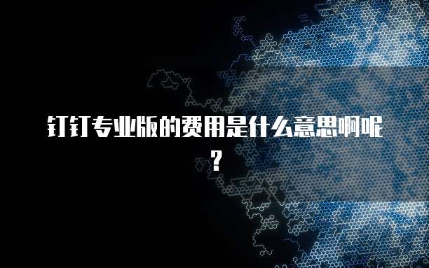 钉钉专业版的费用是什么意思啊呢?