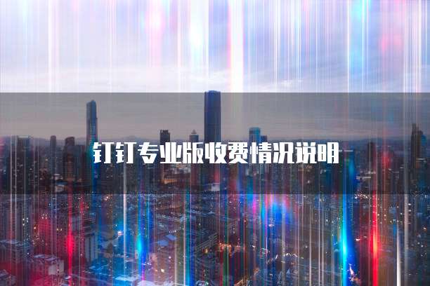 钉钉专业版收费情况说明