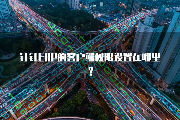 钉钉ERP的客户端权限设置在哪里?