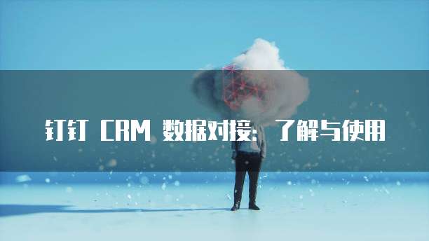 钉钉 CRM 数据对接:了解与使用