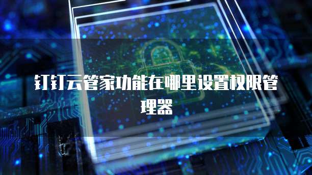 钉钉云管家功能在哪里设置权限管理器