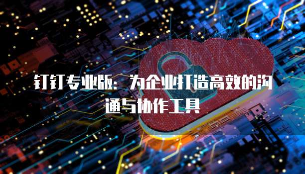 钉钉专业版：为企业打造高效的沟通与协作工具