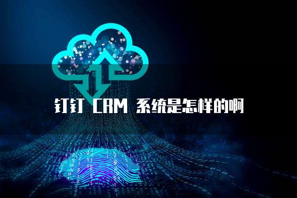 钉钉 CRM 系统是怎样的啊