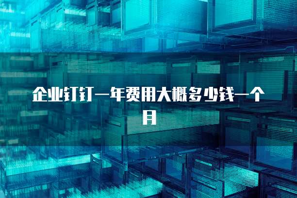 企业钉钉一年费用大概多少钱一个月