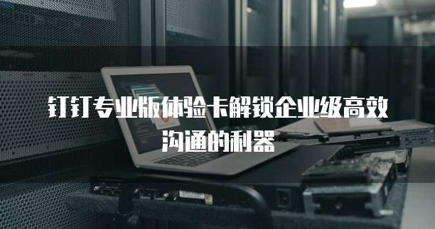 钉钉专业版体验卡解锁企业级高效沟通的利器