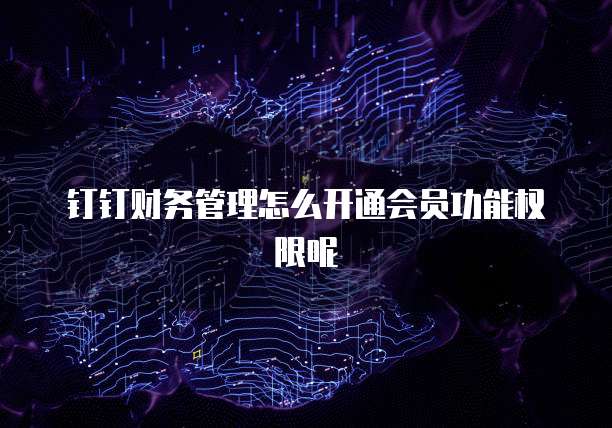 钉钉财务管理怎么开通会员功能权限呢