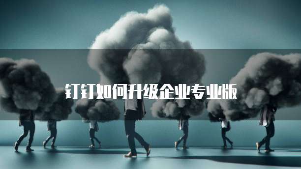 钉钉如何升级企业专业版