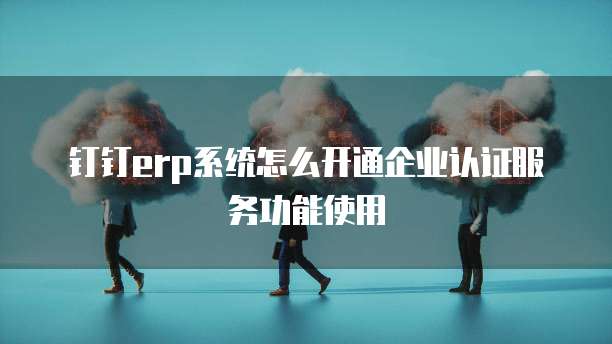 钉钉erp系统怎么开通企业认证服务功能使用