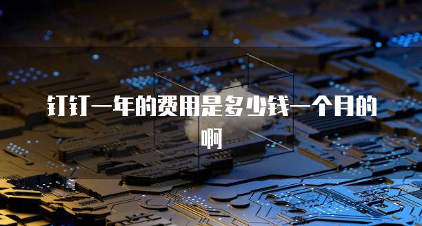 钉钉一年的费用是多少钱一个月的啊