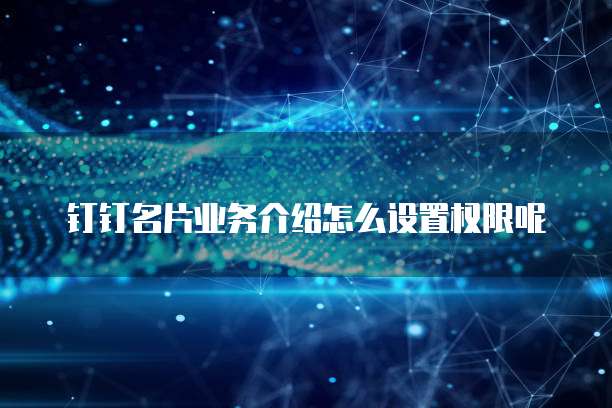 钉钉名片业务介绍怎么设置权限呢