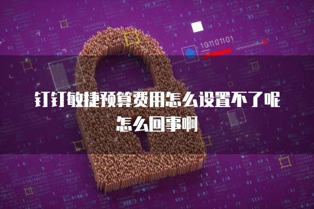 钉钉敏捷预算费用怎么设置不了呢怎么回事啊