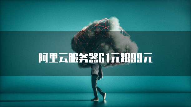 钉钉蓝莓维保价格一个月多少钱?