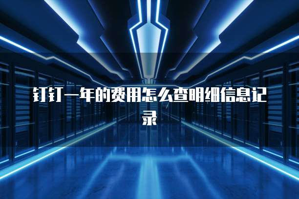 钉钉一年的费用怎么查明细信息记录
