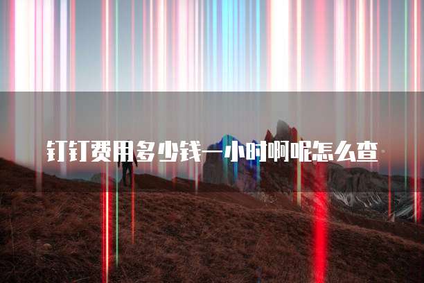 钉钉费用多少钱一小时啊呢怎么查