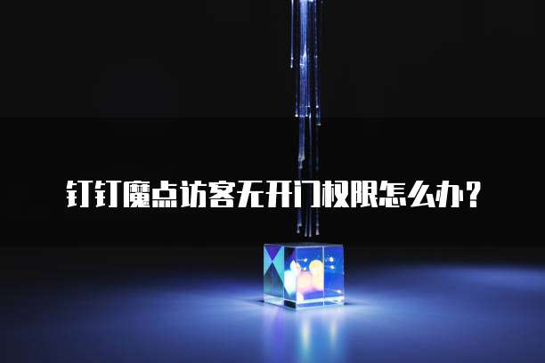 钉钉魔点访客无开门权限怎么办?