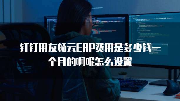 钉钉用友畅云ERP费用是多少钱一个月的啊呢怎么设置