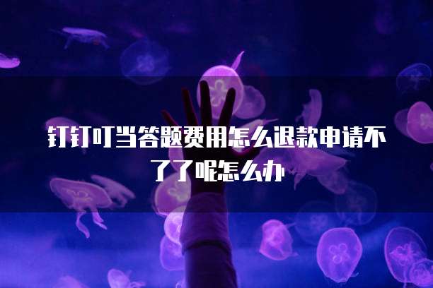 钉钉叮当答题费用怎么退款申请不了了呢怎么办