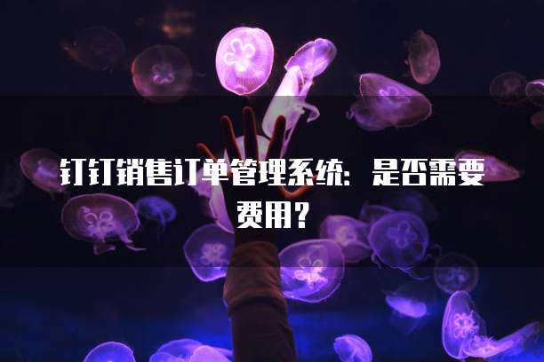 钉钉销售订单管理系统:是否需要费用?