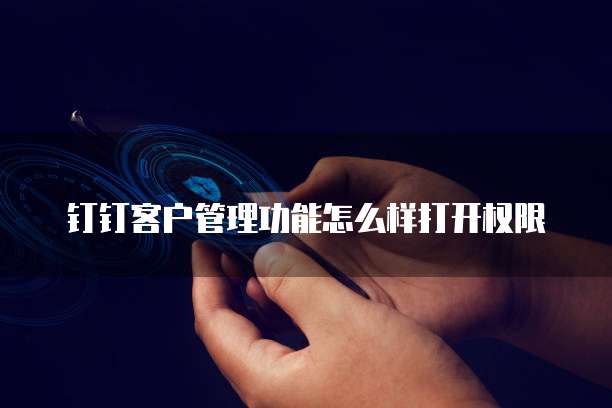 钉钉客户管理功能怎么样打开权限