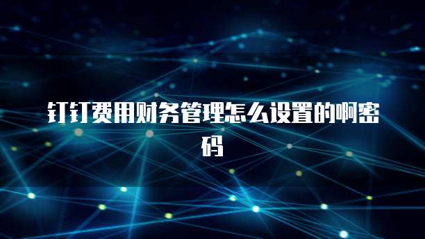 钉钉费用财务管理怎么设置的啊密码