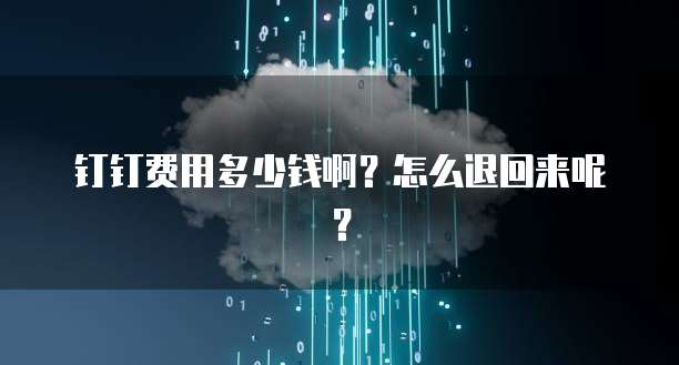 钉钉费用多少钱啊?怎么退回来呢?