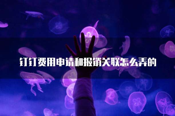 钉钉费用申请和报销关联怎么弄的