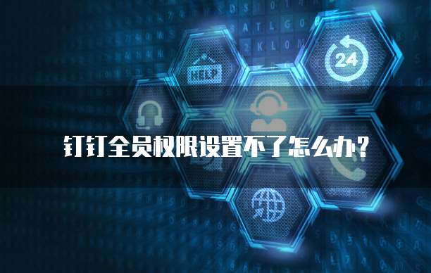 钉钉全员权限设置不了怎么办?