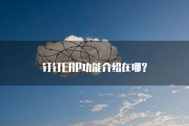 钉钉ERP功能介绍在哪？