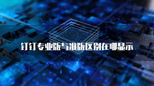 钉钉专业版与准版区别在哪显示