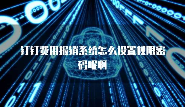 钉钉费用报销系统怎么设置权限密码呢啊