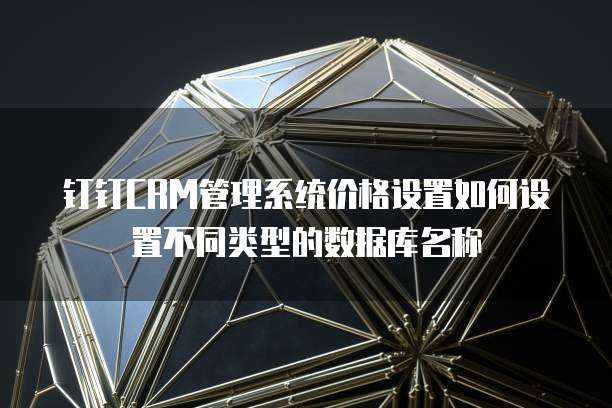 钉钉CRM管理系统价格设置如何设置不同类型的数据库名称