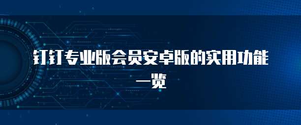 钉钉专业版会员安卓版的实用功能一览
