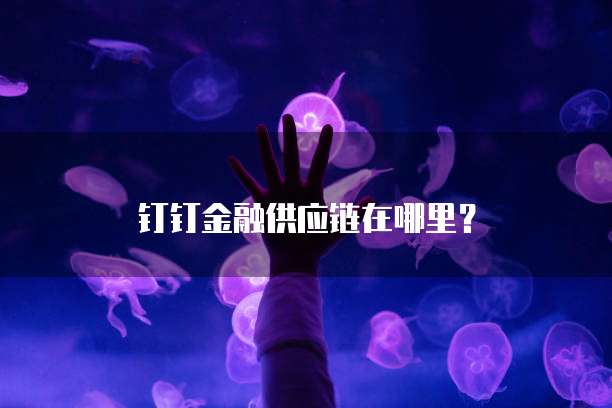 钉钉金融供应链在哪里?