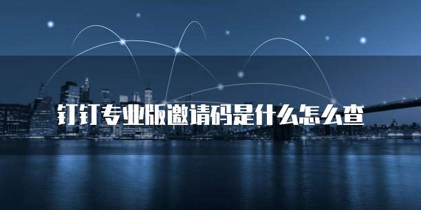 钉钉专业版邀请码是什么怎么查