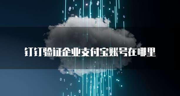 钉钉验证企业支付宝账号在哪里