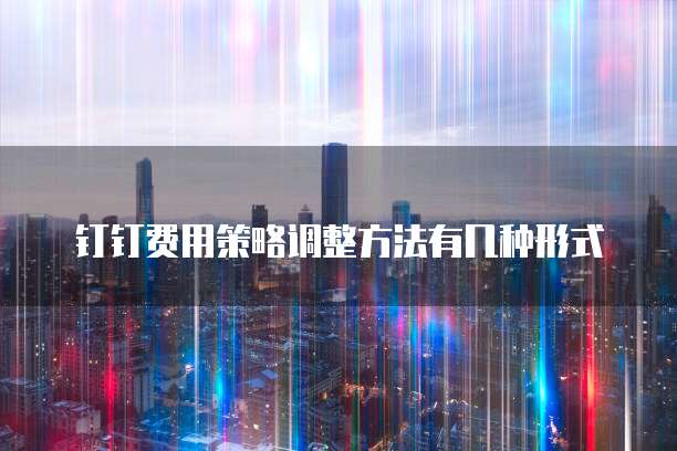 钉钉费用策略调整方法有几种形式