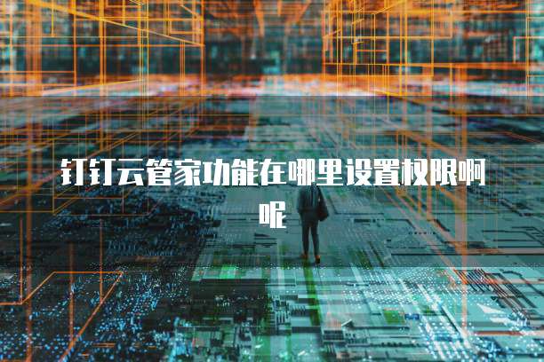 钉钉云管家功能在哪里设置权限啊呢