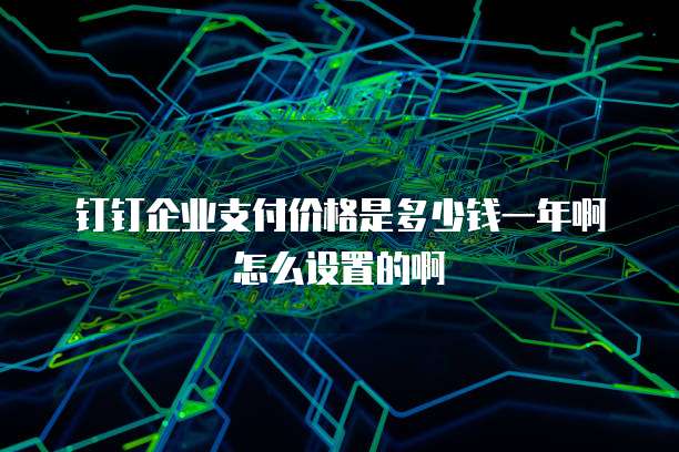 钉钉企业支付价格是多少钱一年啊怎么设置的啊
