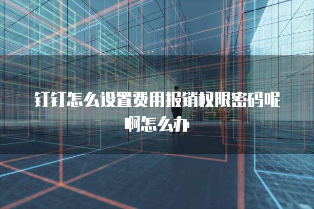 钉钉怎么设置费用报销权限密码呢啊怎么办