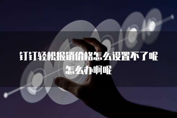 钉钉轻松报销价格怎么设置不了呢怎么办啊呢