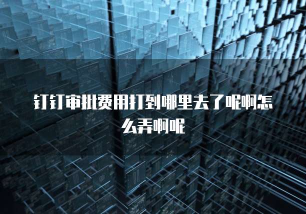 钉钉审批费用打到哪里去了呢啊怎么弄啊呢