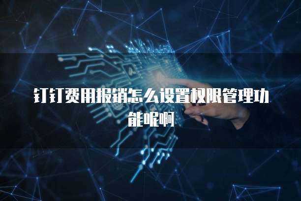 钉钉费用报销怎么设置权限管理功能呢啊